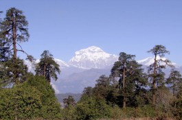 view from mohare danda - Mohare Danda Trek